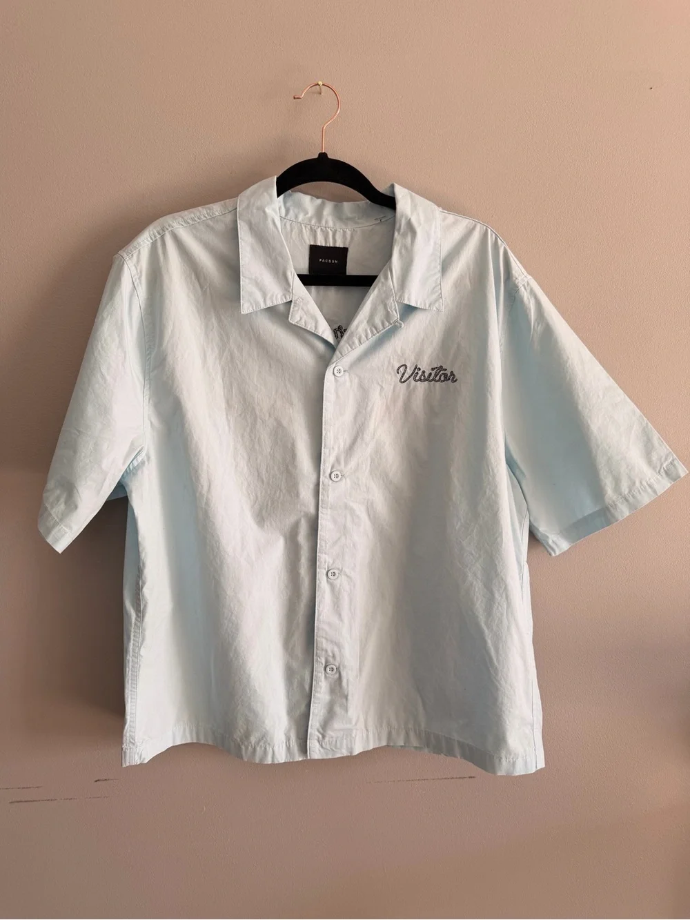 Pacsun Embroidered Light Blue Short-Sleeve Camp Shirt size L